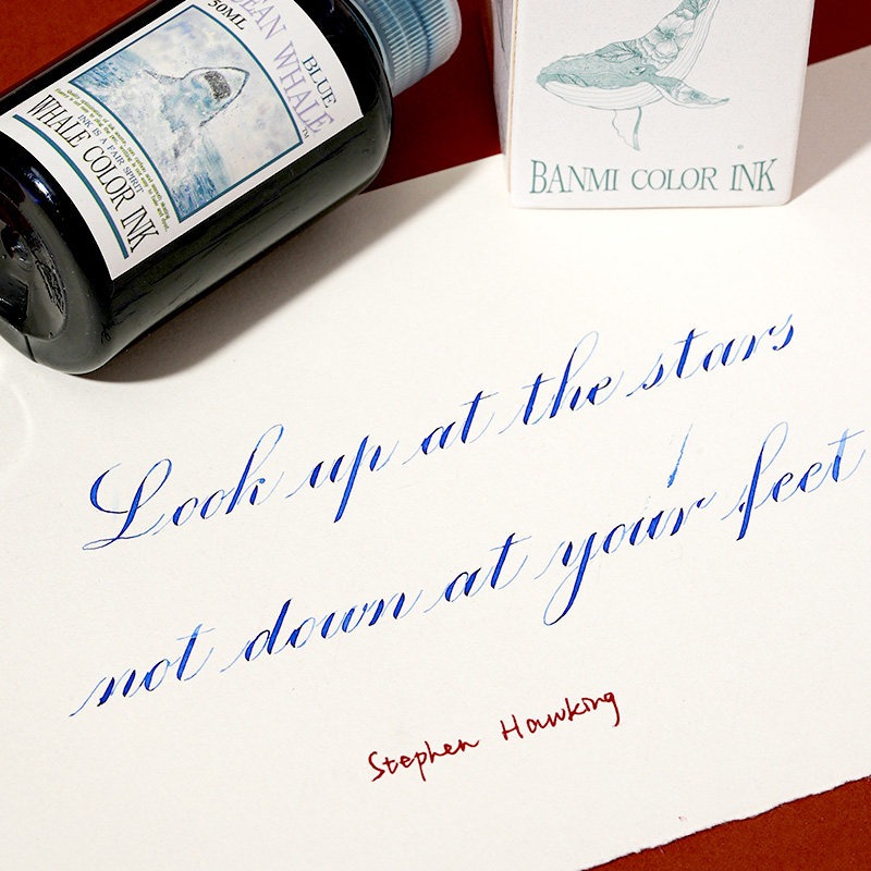 Tinta para Caneta-tinteiro Sér - Fountain Pen Bottled Ink avaliação e preço